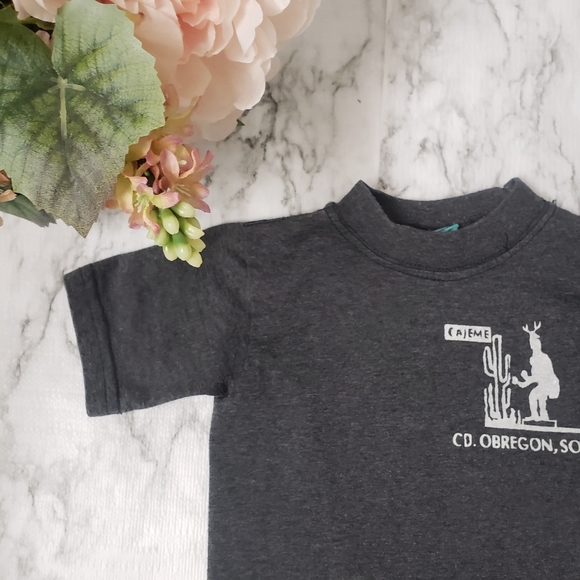 💕 Laustel Gray Graphic Tee from Sonora Mexico Small - Picture 6 of 7